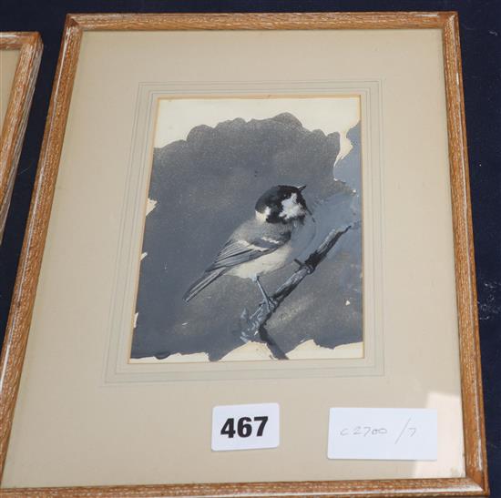 Archibald Thorburn (1860-1935) - watercolour en grisaille, Coal Tit, 16 x 11cm